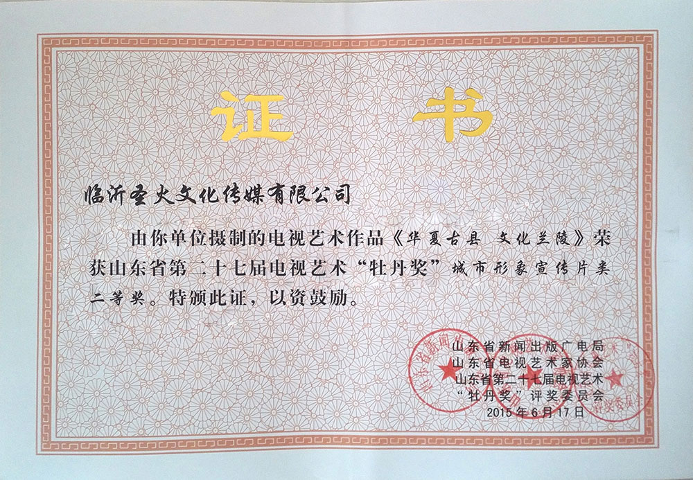 06山東省牡丹獎二等獎3.jpg 06山東省牡丹獎二等獎3.jpg